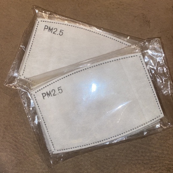 PM 2.5 Mask Filters- 2 pack - Picture 3 of 4